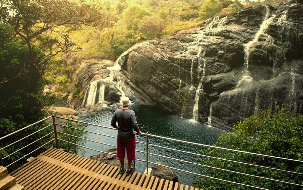 Horton Plains Day Tour
